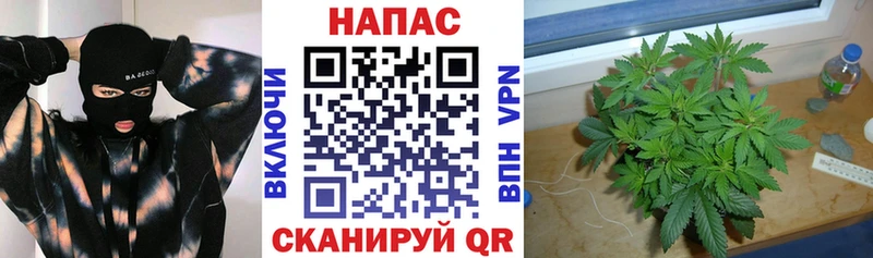 Бошки марихуана MAZAR Мещовск
